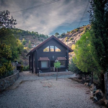 *2 Bdr Log House /Mountains/Queen Bed/Fireplace Gourri Ngoại thất bức ảnh