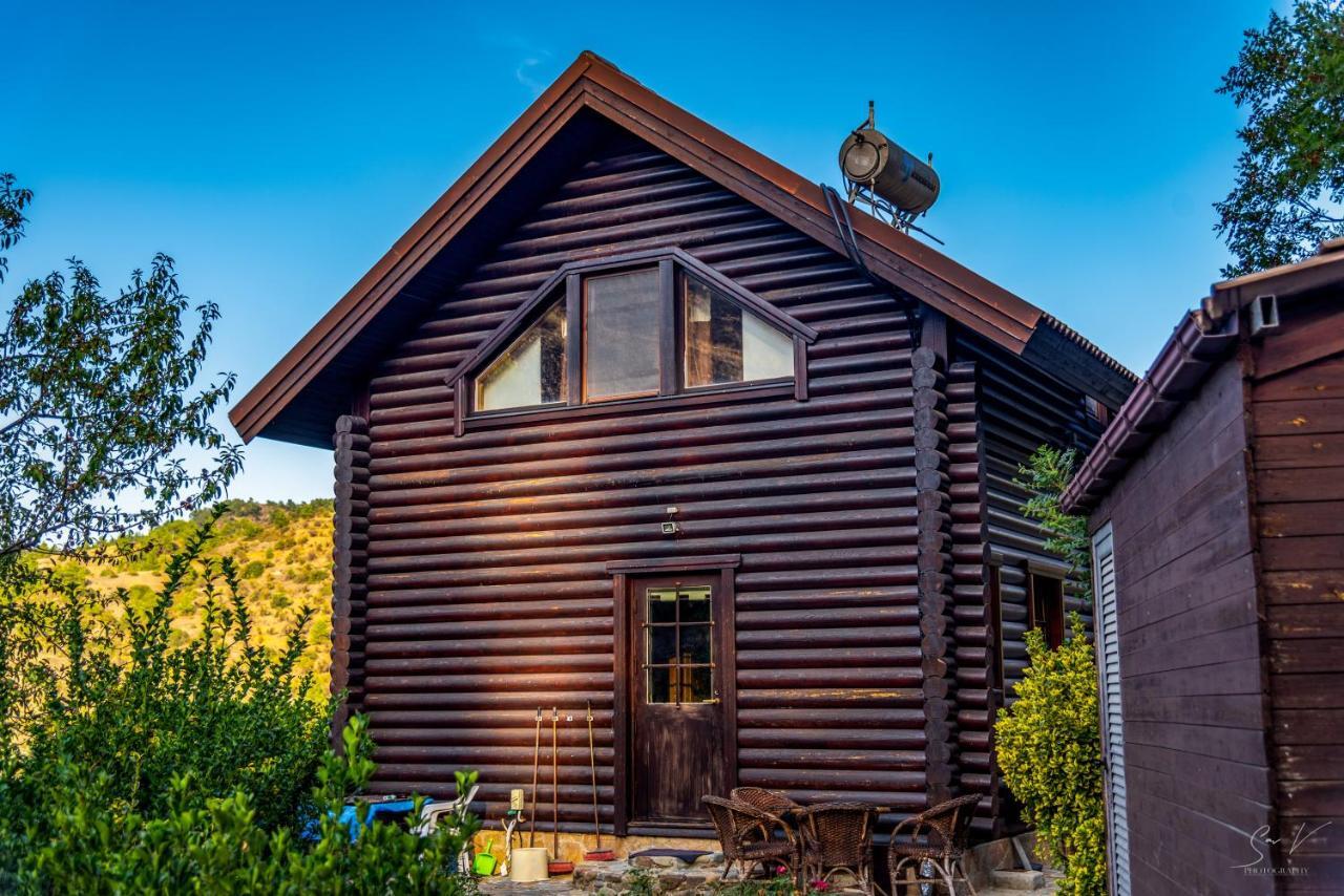 *2 Bdr Log House /Mountains/Queen Bed/Fireplace Gourri Ngoại thất bức ảnh
