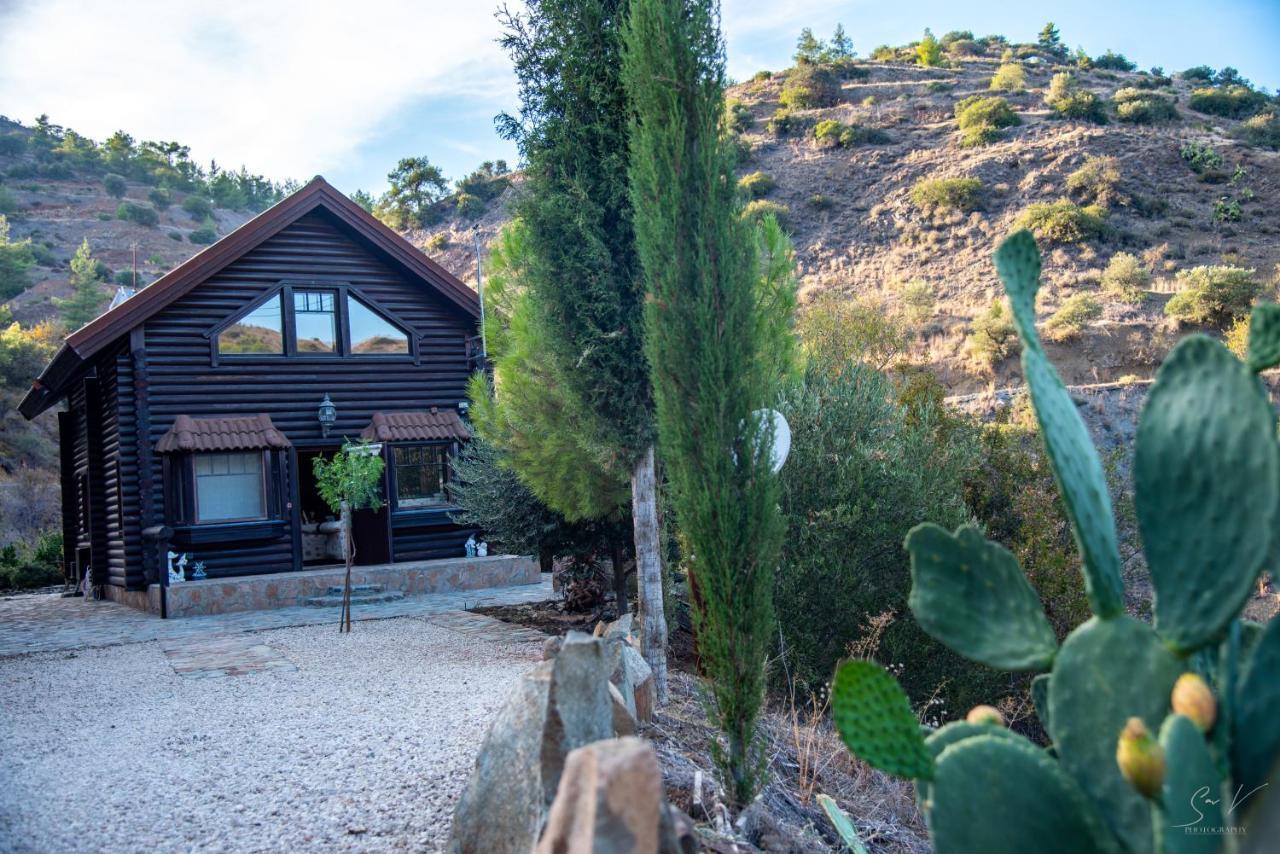 *2 Bdr Log House /Mountains/Queen Bed/Fireplace Gourri Ngoại thất bức ảnh