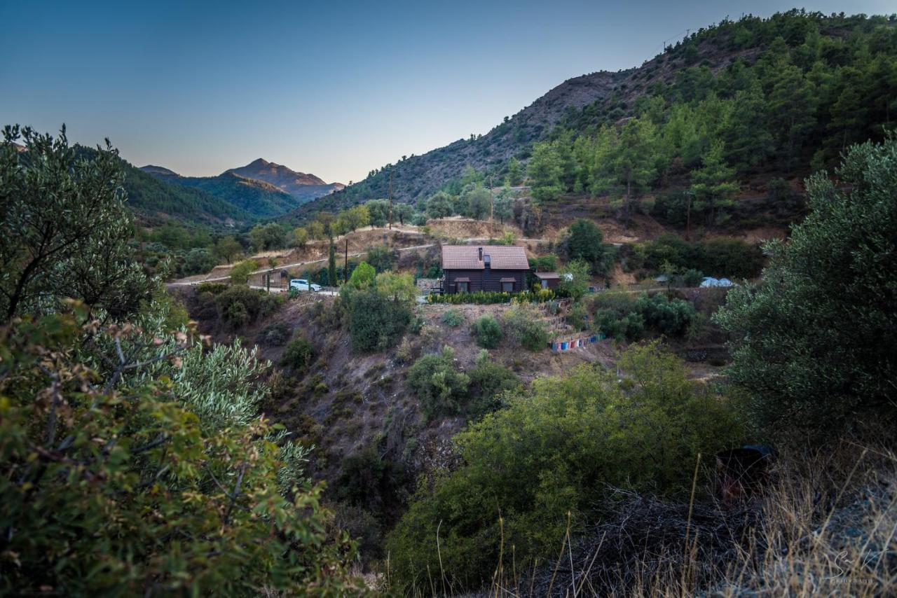 *2 Bdr Log House /Mountains/Queen Bed/Fireplace Gourri Ngoại thất bức ảnh